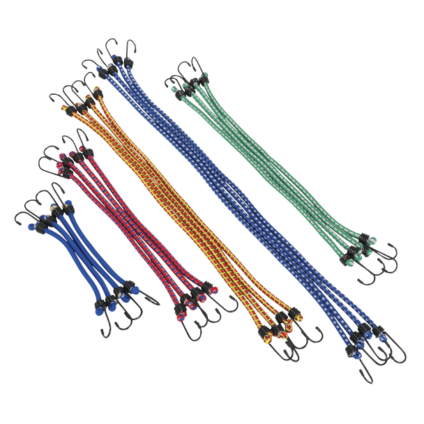Bungee Cord set 20Pcs
