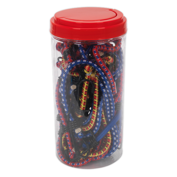 Bungee Cord set 20Pcs